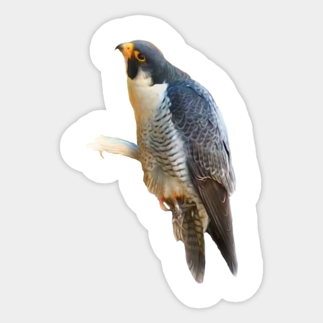 Falcon Sticker by Guardi